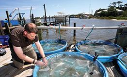 Student working in marina